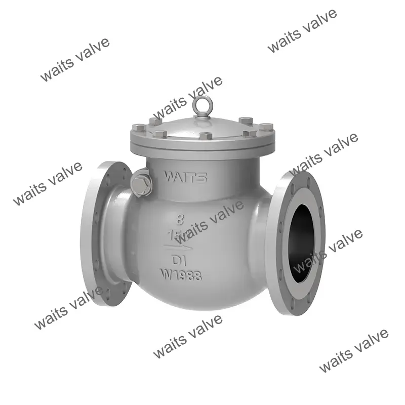 Ductile Iron Check Valve
