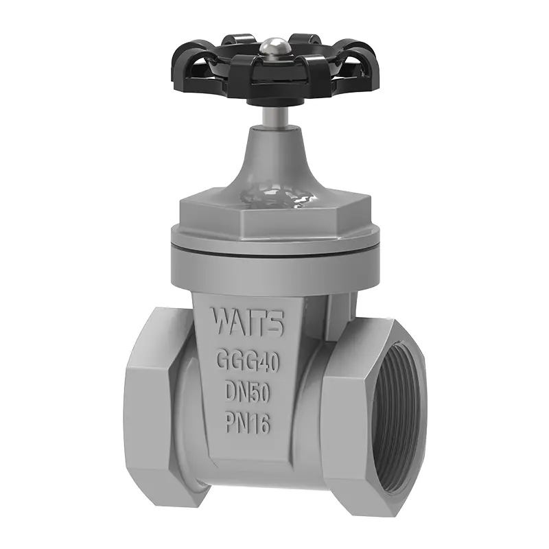 Valve del cancello seduto resiliente NPT‌